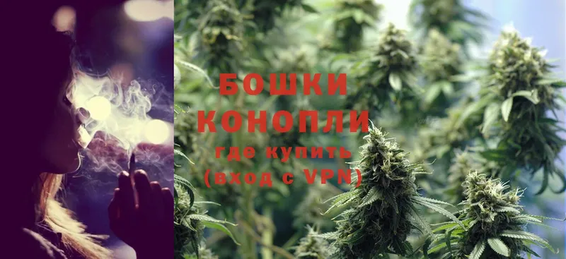 Каннабис Ganja  Нестеровская 